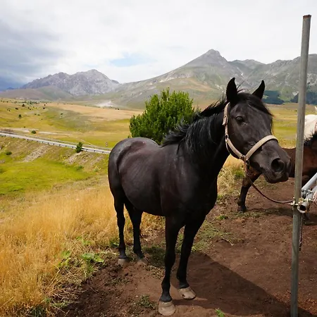 Alba Abruzzo Lejlighed Fossacesia
