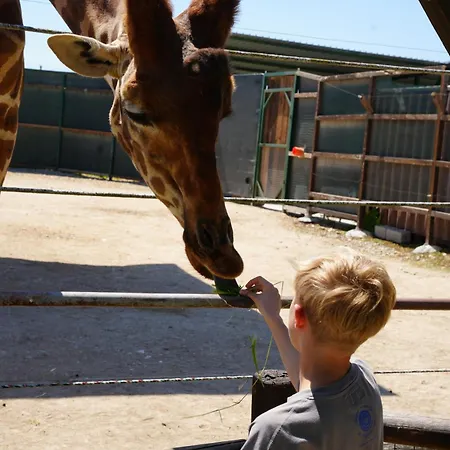 Alba Abruzzo Lejlighed *