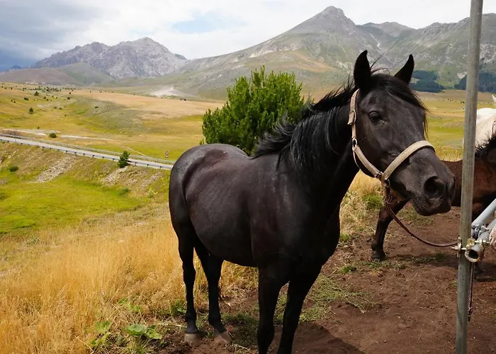 Alba Abruzzo Appartamento Fossacesia