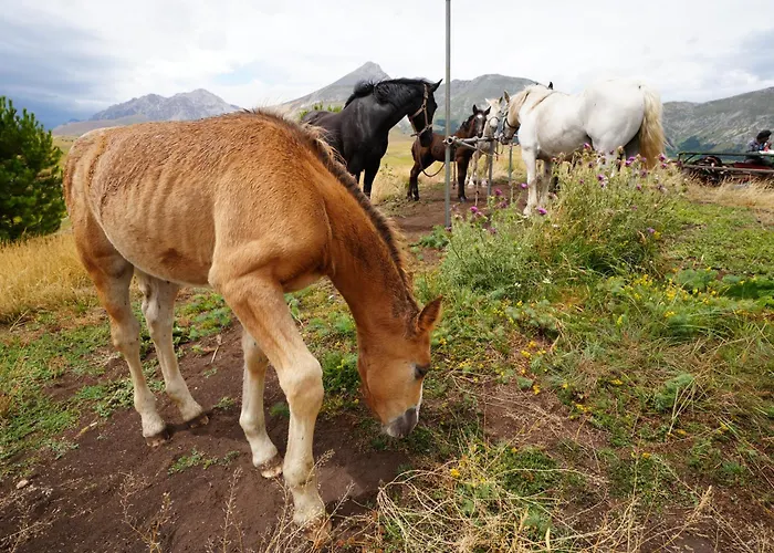 Alba Abruzzo Appartamento Fossacesia