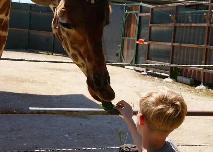 Alba Abruzzo Appartamento *